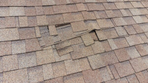 Shingle Roof Repair Damaged Shingle