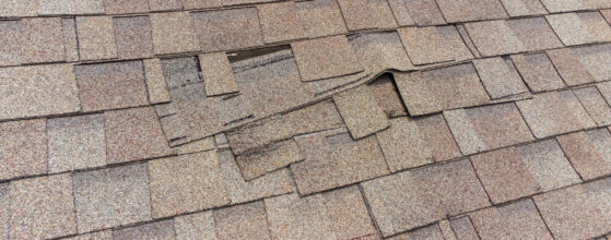 Shingle Roof Repair Damaged Shingle