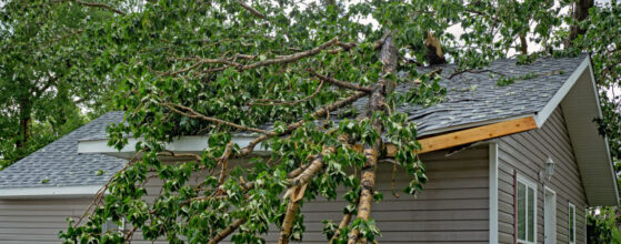 Emergency Roof Repairs