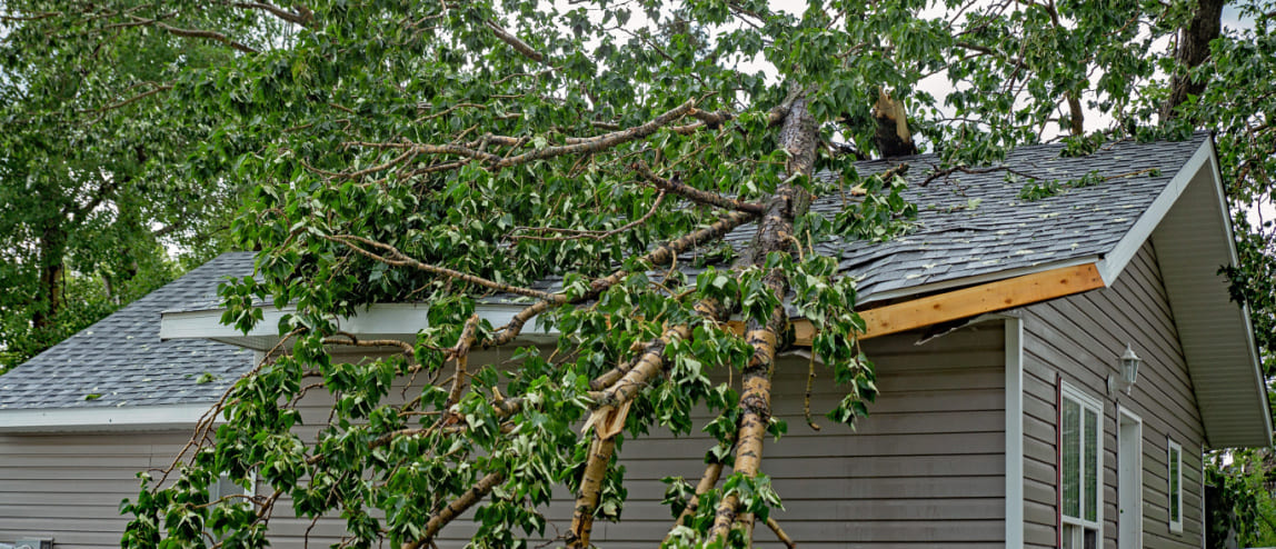 Emergency Roof Repairs