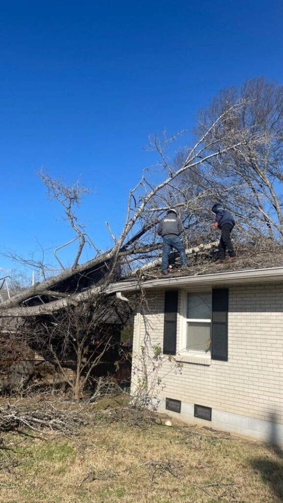 Storm Damage Can Result in Fallen Trees Damaging a Roofing System