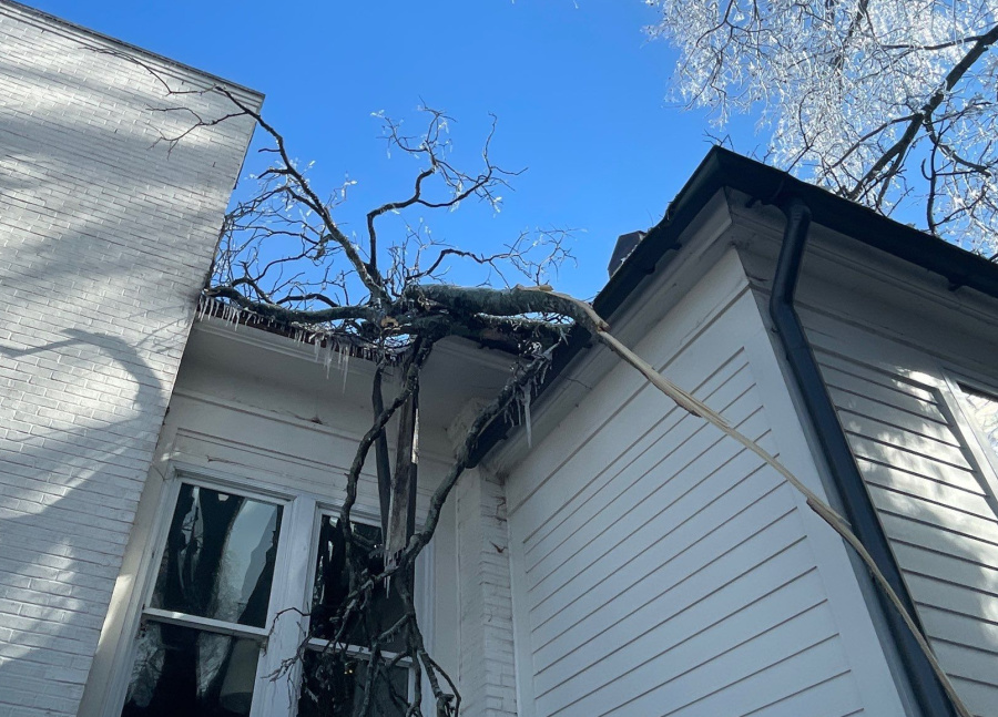 TREE ON ROOF - MidSouth Construction LLC TREES THAT BREAK FROM ICE CAUSE ROOF DAMAGE