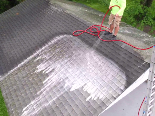 Roof Cleaning Nashville